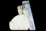 Gorgeous Aquamarine Crystal with Black Tourmaline & Feldspar - Namibia #92702-1